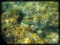 DSC02494 - retouche 1